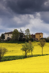 Tuscany landscape