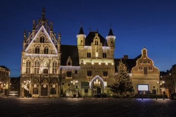 Fototapeta na wymiar Mechelen City Hall
