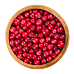 Lingonberries in a wooden bowl on white background. Red ripe fruits of Vaccinium vitis-idaea, also partridgeberry or cowberry. In the wild collected berries are used for jam. Isolated macro photo.
