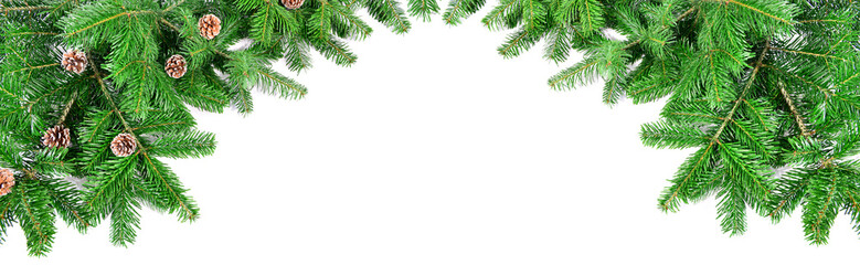 Tannenzweige - Panorama
