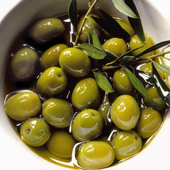 Fototapety  zielone oliwki