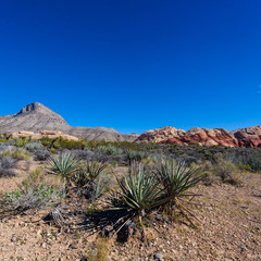 Death Valley and Red Rock Canyon Road Trip