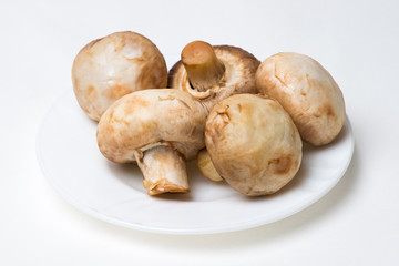 Mushrooms on a white plate