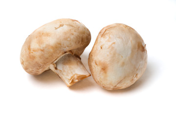 Two mushrooms on white background