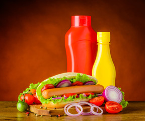 Hot Dog Sandwich with Ketchup and Mustard