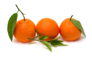 Three tangerines