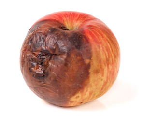 rotten apple isolated on a white background