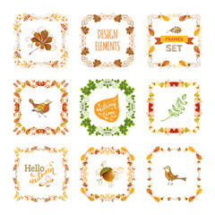 Vector set of autumn leaves design elements.