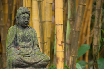 Buddha in the Bamboo