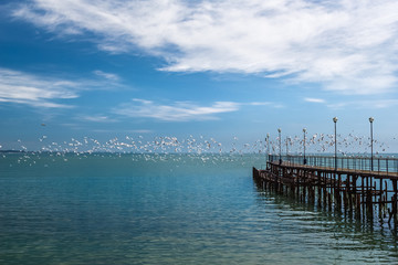 Old pier and seagulls over the sea