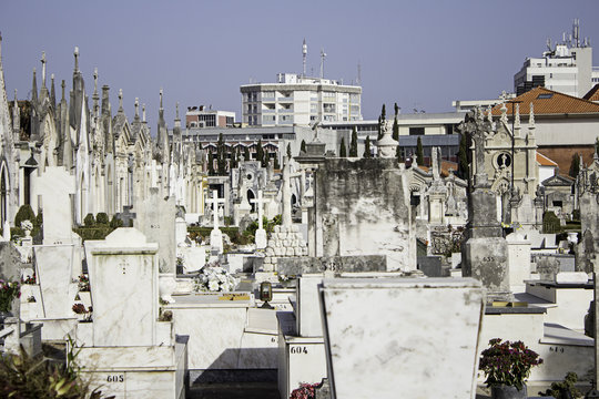 Ancient cemetery city