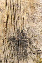 Old cracked surface of a wooden board.