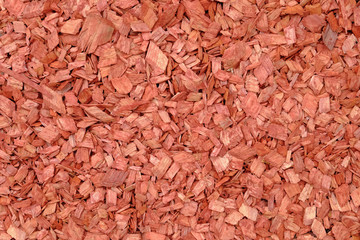 Natural wood chip