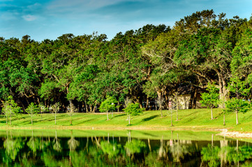 Park view / photograph of the lake in Hollywood.