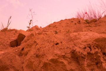 The surface of Mars. Deserted terrestial planet in orange colors