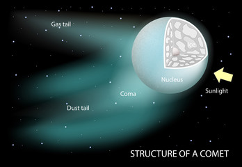 structure of a comet © designua