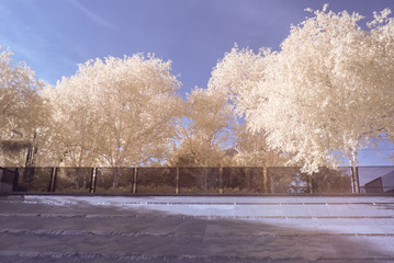 André-Citronën park in infrared