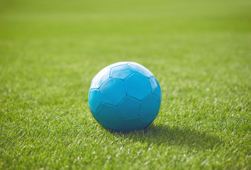 Fototapeta premium Blue soccer ball on a green grass
