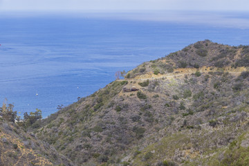 Fototapeta na wymiar The beautiful Catalina Island