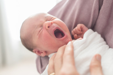 Newborn baby in Hispanic dad's arms