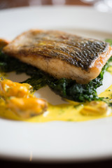 Closeup of Filleted Fish on Spinach Leaves and Mussel Sauce
