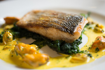 Closeup of Filleted Fish with Yellow Mussel Sauce