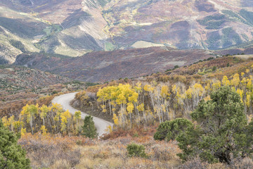 Naklejka premium Coffee Pot road with golden aspen