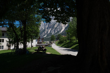Bosco di san vito di cadore