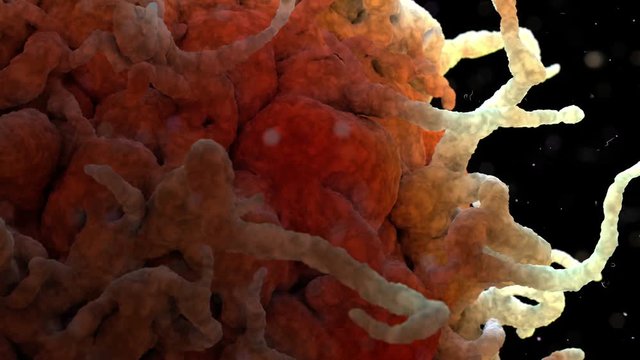 White Blood Cell 002 3D Rendering: Scanning electron microscope image of a white blood cell.