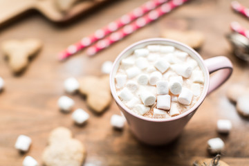 Hot cocoa with marshmallows air and ginger cookies