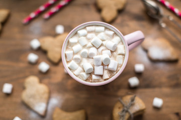 Hot cocoa with marshmallows air and ginger cookies