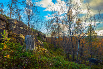Northern autumn landscape.Rocks covered with vegetation in the autumn tundra