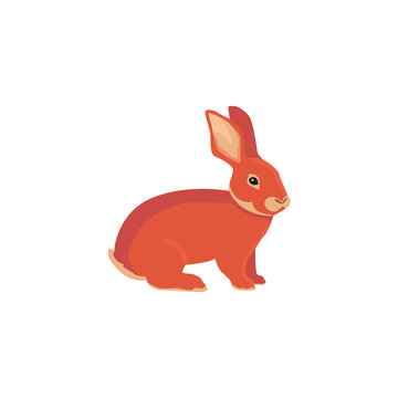 vector illustration of cartoon rabbit. drawing vector rabbit