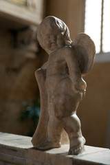 cherub at the Malatesta Temple of Rimini