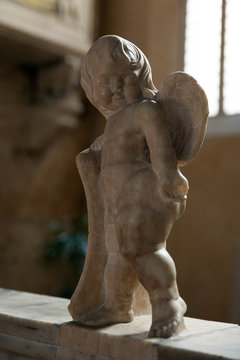 Cherub At The Malatesta Temple Of Rimini