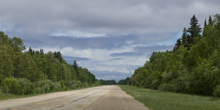 Trees along gravel road, Riverton, Hecla Grindstone Provincial P