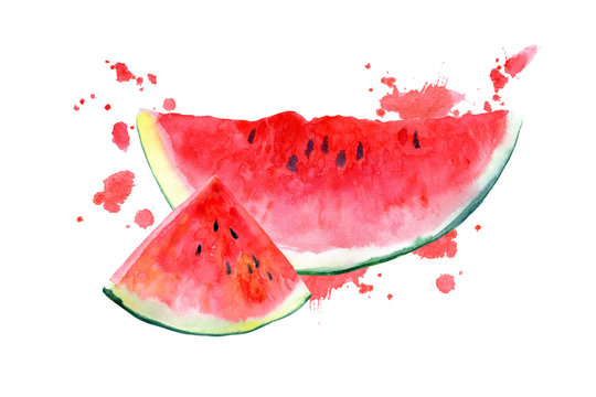 Postcard with watermelon and blotch.Fruit picture.Watercolor hand drawn illustration.