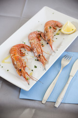 foods, sea, eating, healthy, freshness, seafood