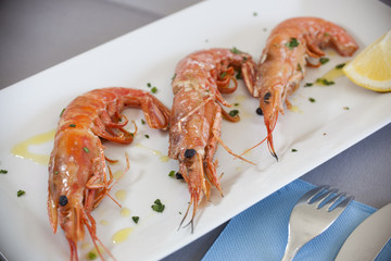 foods, sea, eating, healthy, freshness, seafood