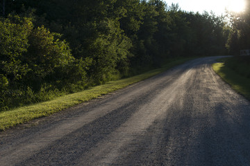 Trees along a gravel road, Wasagaming, Riding Mountain National