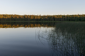 Reflection of trees on lake, Lake Audy Campground, Riding Mounta