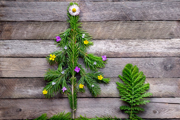Art work with green needle branches and flowers. Christmas fir tree on wooden planks. Top view