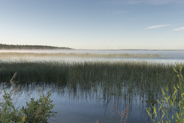 Edge of Marshland, Riding Mountain National Park, Manitoba, Cana