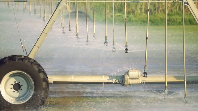  Automated farm Irrigation system with drop sprinklers in field, slow motion