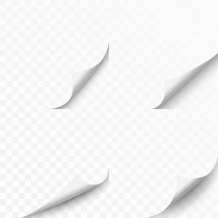 Set of four curled corners of white sheet. Vector illustration, eps 10.