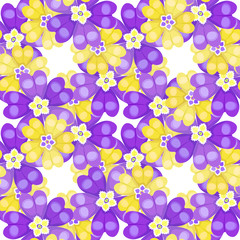 seamless pattern spring Polyanthus primula purple flowers. 