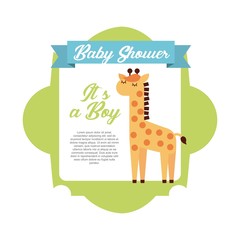 animal cute baby shower invitation vector illustration design