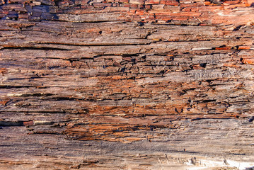 Beach Wood Background