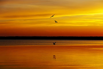 Fototapeta na wymiar Orange sunset lake