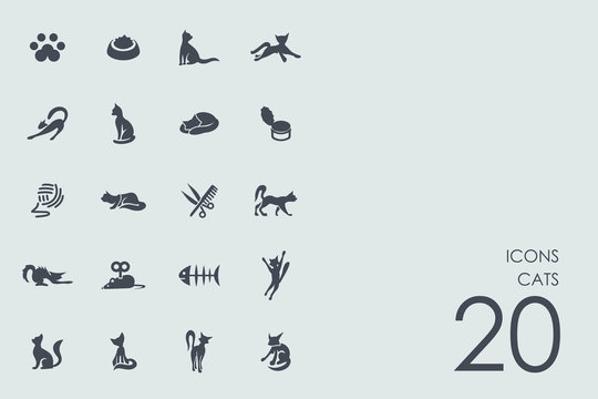 Set of cats icons